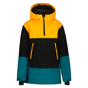 Veste de Ski Homme Icepeak Charlton