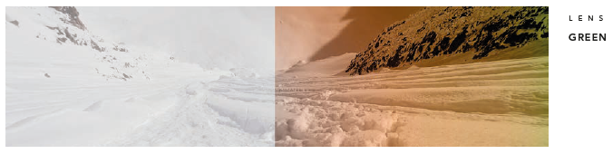 Bio Project Leaf S2 – Image 3