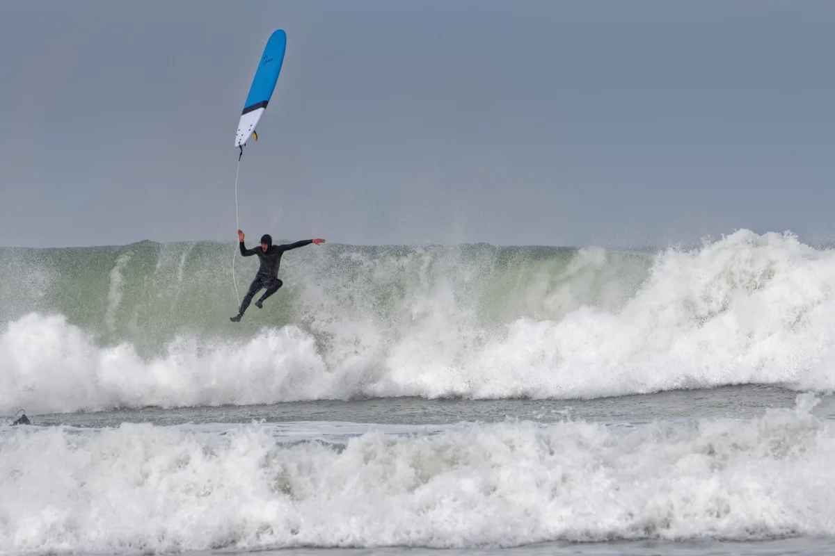 Leash Zeus – Image 4