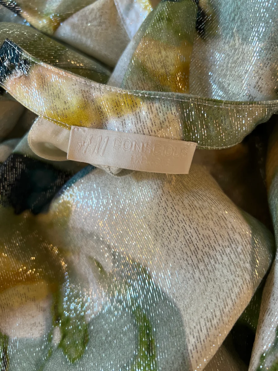 Noémie Lenoir Robe H&M Conscious Exclusive irisée – Image 8