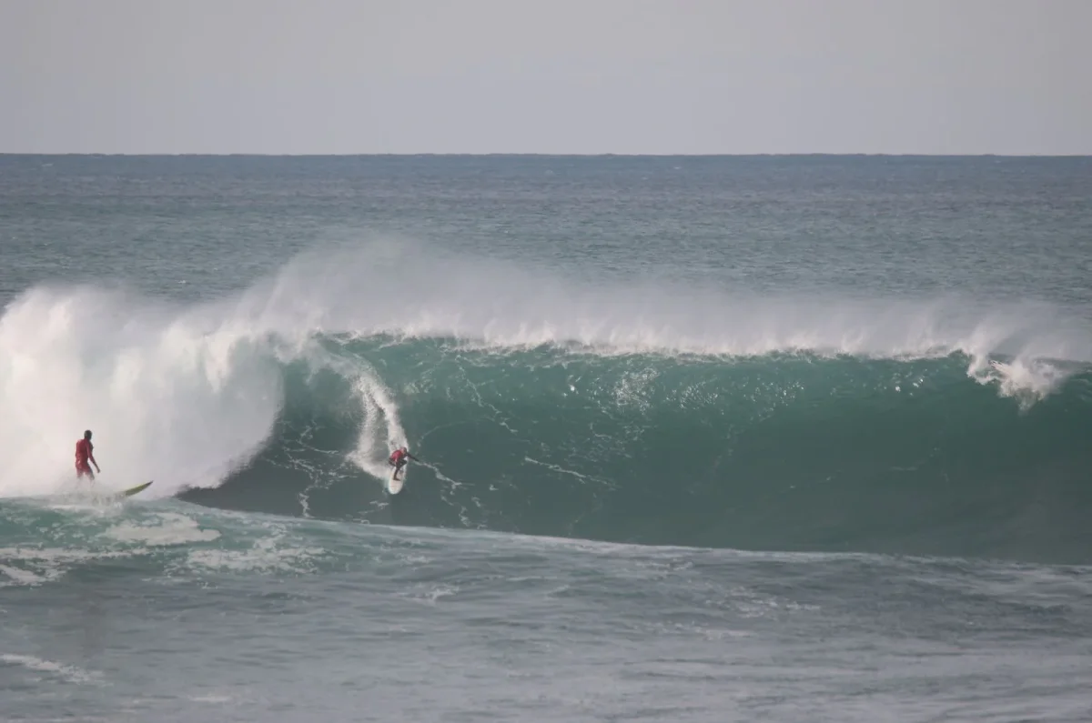 MAKU Gun Rose Mary 10'0" – Image 4