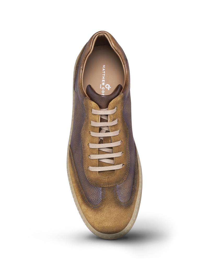 Bampton II camel – Image 2