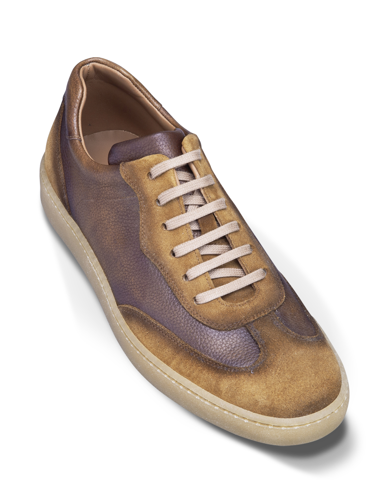 Bampton II camel – Image 3