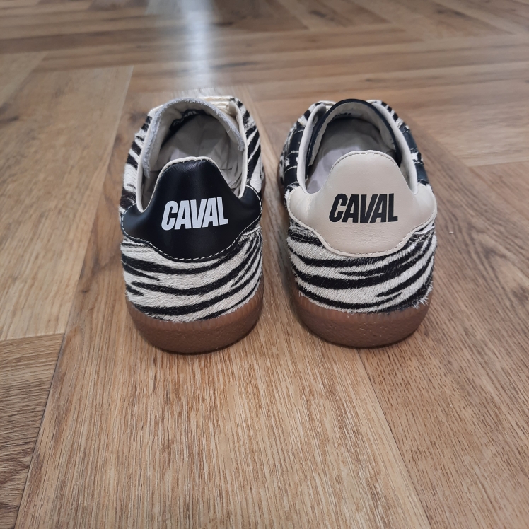 Pulse Zebra Obession – Image 4